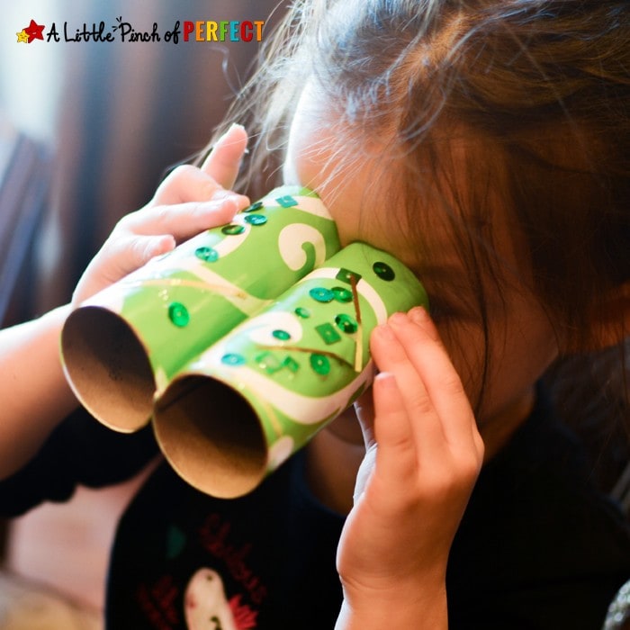 Leprechaun Binoculars Toilet Paper Roll Craft : Easy St. Patrick's Day Craft for Kids