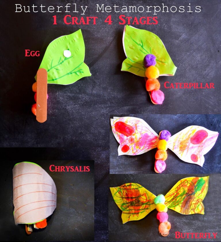 Butterfly Metamorphosis Craft + Free Template