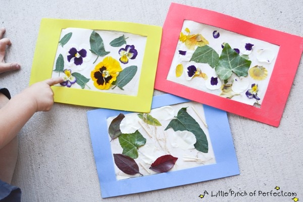 Nature Art Collage & Easy Reusable Craft Frame for Kids