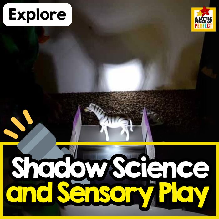 Shadow Science and Sensory Play for Kids &ndash; Hands-On Light and Shadow Exploration