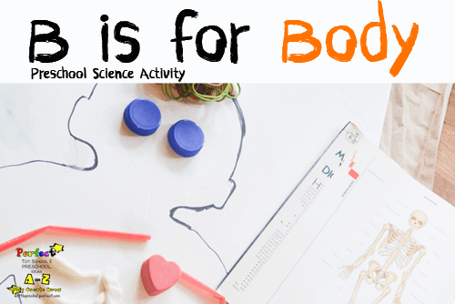 Letter of the Week A-Z Series: B is for Body Preschool Science Activity