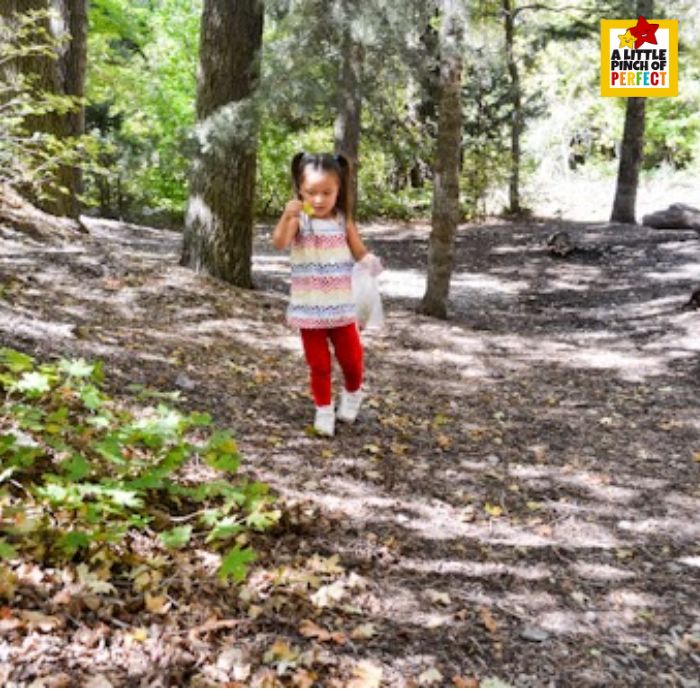 child gathering leaves