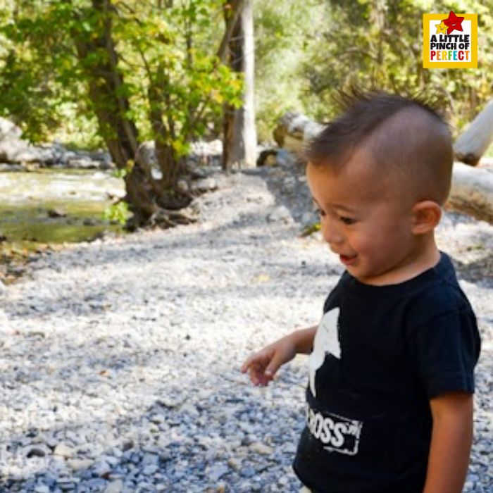 child gathering nature supplies for craft