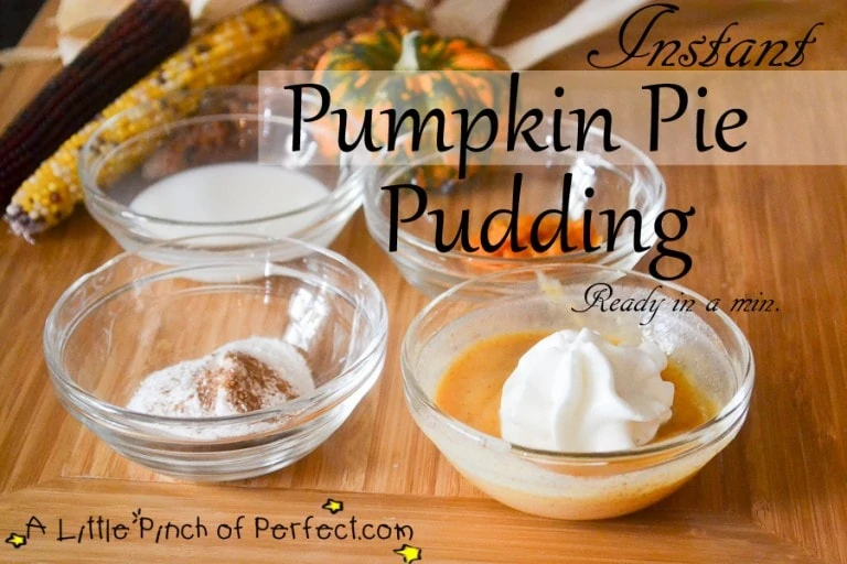 Instant Pumpkin Pie Pudding Recipe