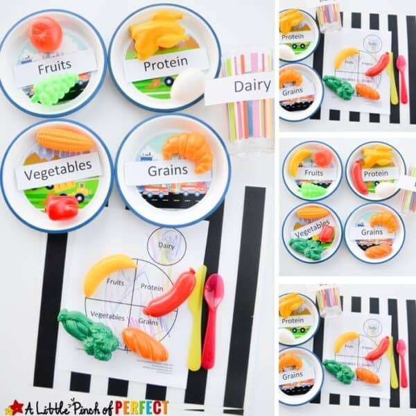 Science for Kids: Learning about the 5 Food Groups + Printable - A ...