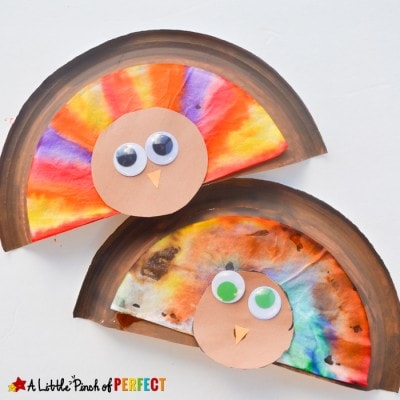 Paper Plate & Coffee Filter Thanksgiving Turkey Craft for Kids