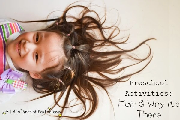 Preschool Activities: Hair and Why it’s There
