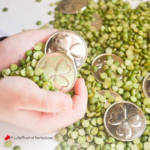 St. Patrick's Day Green & Gold Sensory Activity: A fun sensory bin filled with green peas and gold coins