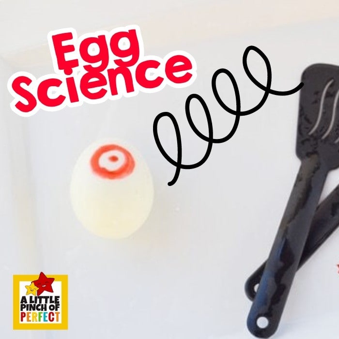 Table Hockey with an Egg Science Activity for Kids