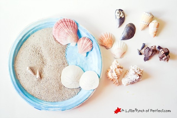 Ocean Sensory Play & Matching Game for Kids