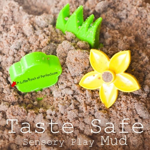 Sensory Play: Taste Safe Mud Recipe