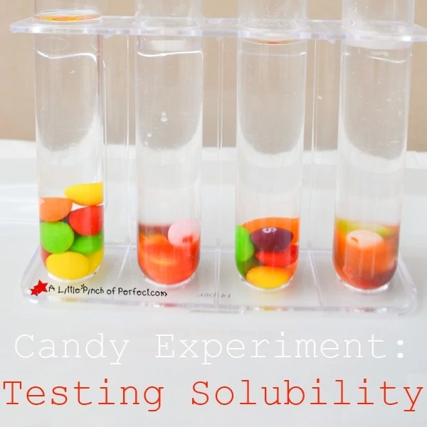 Skittles Science Experiment 