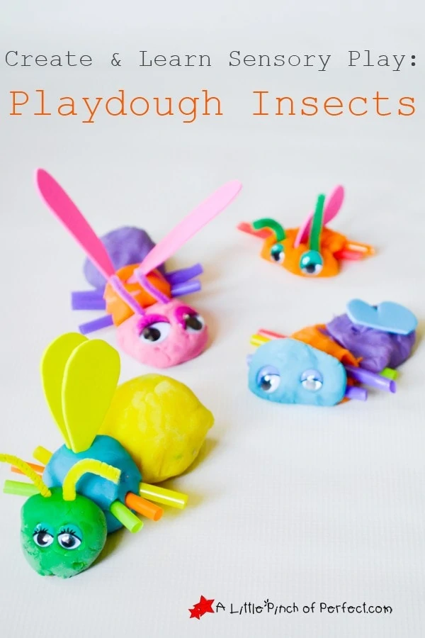 Build and Learn Playdough Insects Science Activity - A Little Pinch of  Perfect