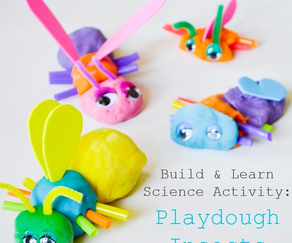 BUILD AND LEARN SCIENCE ACTIVITY: PLAYDOUGH INSECTS FOR HANDS ON LEARNING