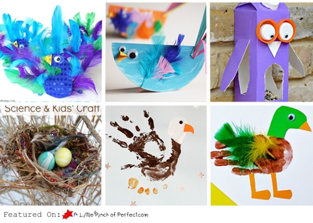 Fabulous Bird Crafts & Activities for Kids