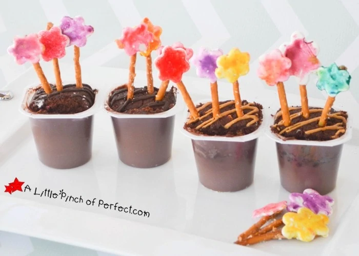 May Flower Pudding Snack Packs-An Artistic Snack for Kids