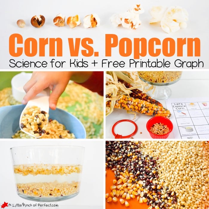 It’s science time! Grab a bag of popcorn and get ready to learn with this simple and inexpensive kid’s activity + Free Printable (measuring, pouring, counting, graphing, and weighing, fall kids activity).