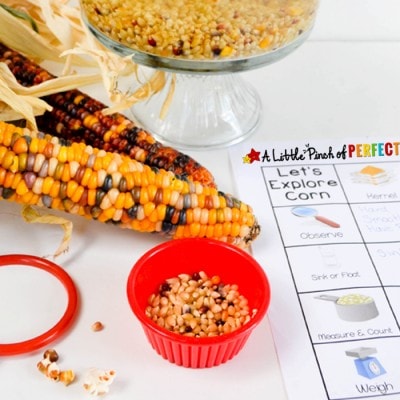 Corn and Popcorn Fall Science & Sensory Play for Kids