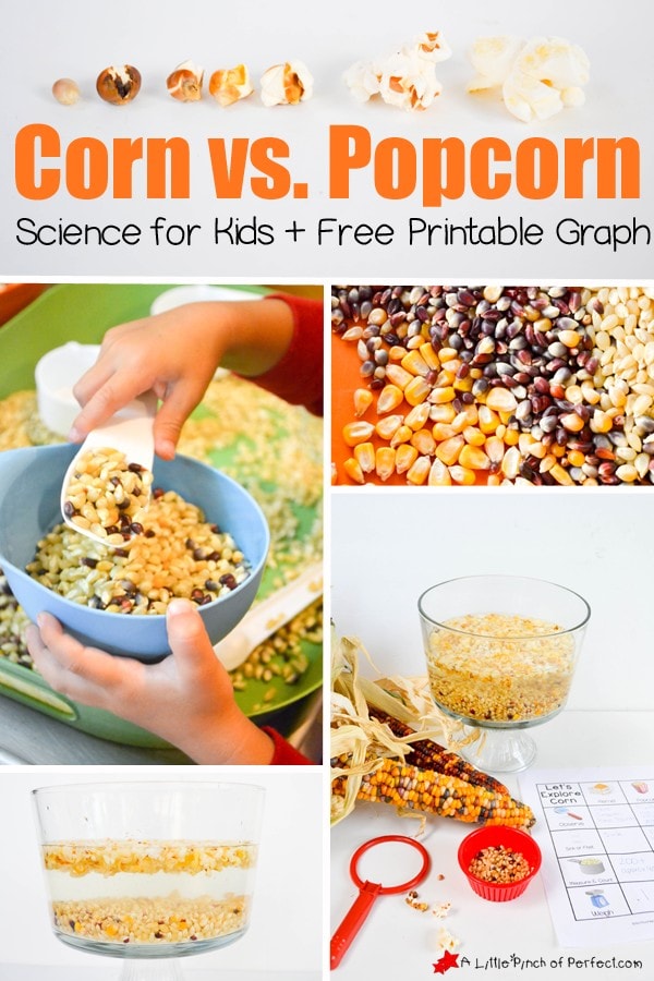 It’s science time! Grab a bag of popcorn and get ready to learn with this simple and inexpensive kid’s activity + Free Printable (measuring, pouring, counting, graphing, and weighing, fall kids activity).
