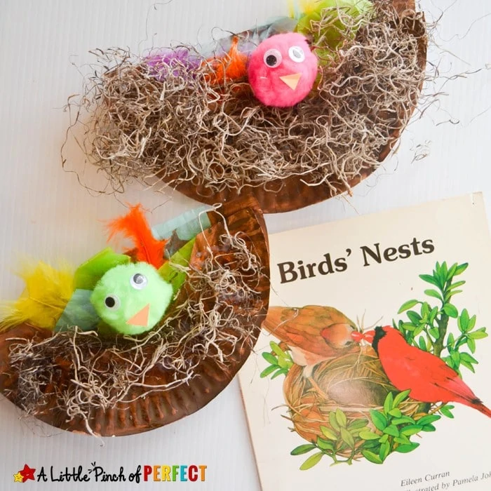 Paper Plate Bird Nest Craft the Kids will Cheep About