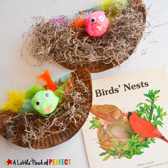 Paper Plate Bird Nest Craft the Kids will Cheep About: Perfect for learning about birds, eggs, baby animals, spring