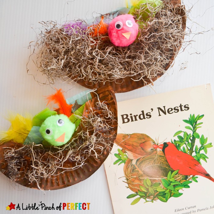 Make A Bird Nest Craft Bird Nest Crafts For Kids VOOZW
