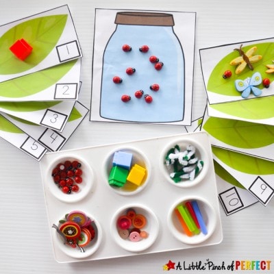 Catch a Bug Math Activity and Free Printable