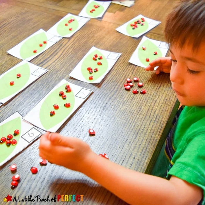 Catch a Bug Math Activity and Free Printable: The printable includes numbers 1-20, several different bug jars, a 10-frames chart, and was designed so you can adapt it to suit your child's needs. (Spring, counting, addition, preschool, kindergarten)