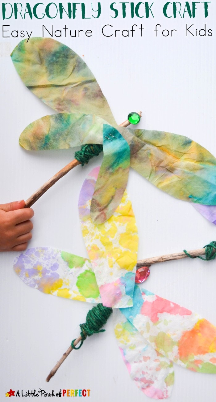 Dragonfly Stick Craft: Easy Nature Craft for Kids