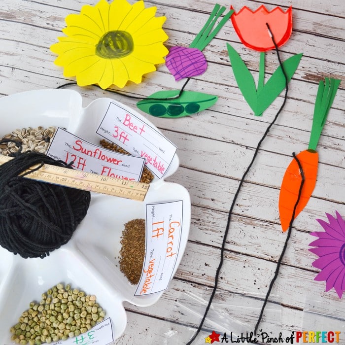 Measurement Garden Hands on Math Activity and Free Printable