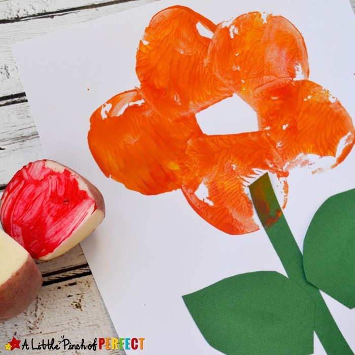 Flower Potato Stamping Craft and The Tiny Seed Free Printables