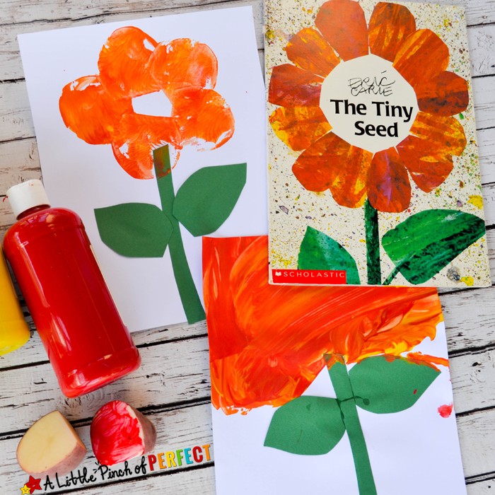 Flower Potato Stamping Craft and The Tiny Seed Free Printables: Make an easy painted flower craft and download free printables for pre-writing, sequencing, and visual discrimination (Eric Carle, spring, preschool, life cycle)