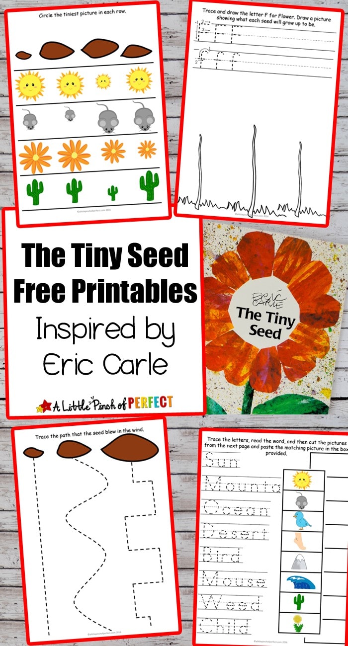 Flower Potato Stamping Craft and The Tiny Seed Free Printables: Make an easy painted flower craft and download free printables for pre-writing, sequencing, and visual discrimination (Eric Carle, spring, preschool, life cycle)