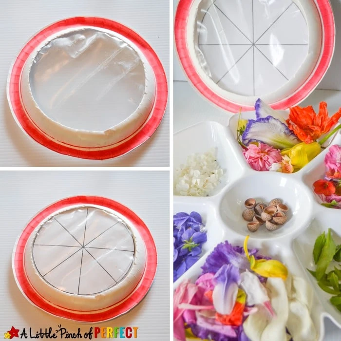 Beautiful Suncatcher Mandalas Nature Craft and Symmetry Activity: As kids create art they can explore nature, count, and decorate symmetrical circles using a paper plate and our free symmetrical circles template (flowers, spring, summer, math)