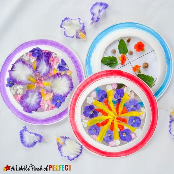 Beautiful Suncatcher Mandalas Nature Craft and Symmetry Activity: As kids create art they can explore nature, count, and decorate symmetrical circles using a paper plate and our free symmetrical circles template (flowers, spring, summer, math)