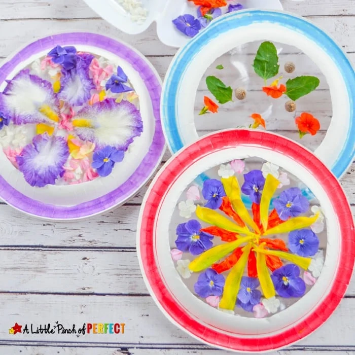 Beautiful Suncatcher Mandalas Nature Craft and Symmetry Activity: As kids create art they can explore nature, count, and decorate symmetrical circles using a paper plate and our free symmetrical circles template (flowers, spring, summer, math)