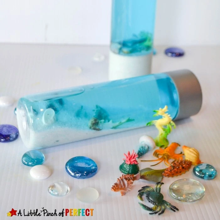 Ocean Aquarium Sensory Bottle: Kids can learn and explore sea animals with their own mini aquarium sensory bottle. (summer, sand, shells, kids activity)