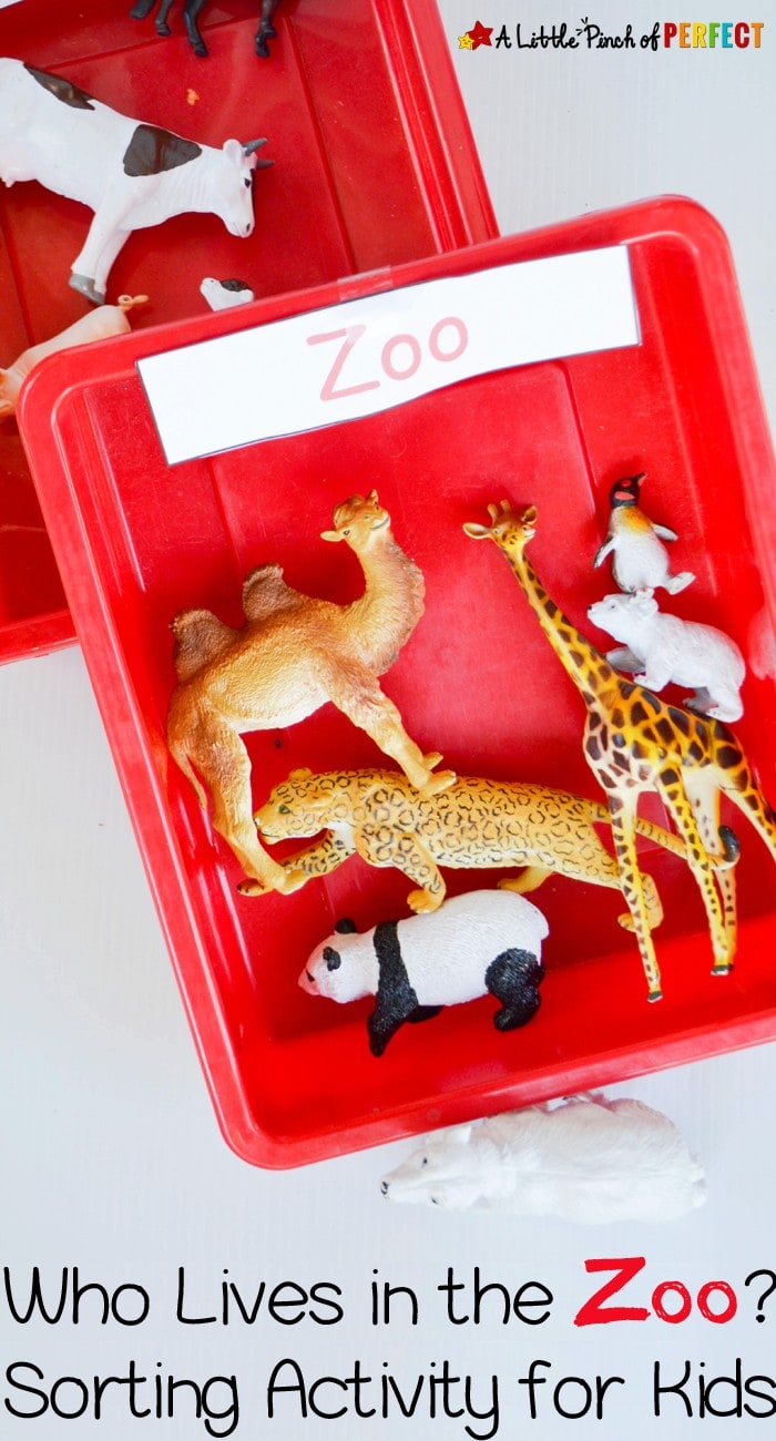 Who Lives in the Zoo Sorting Tray for Kids