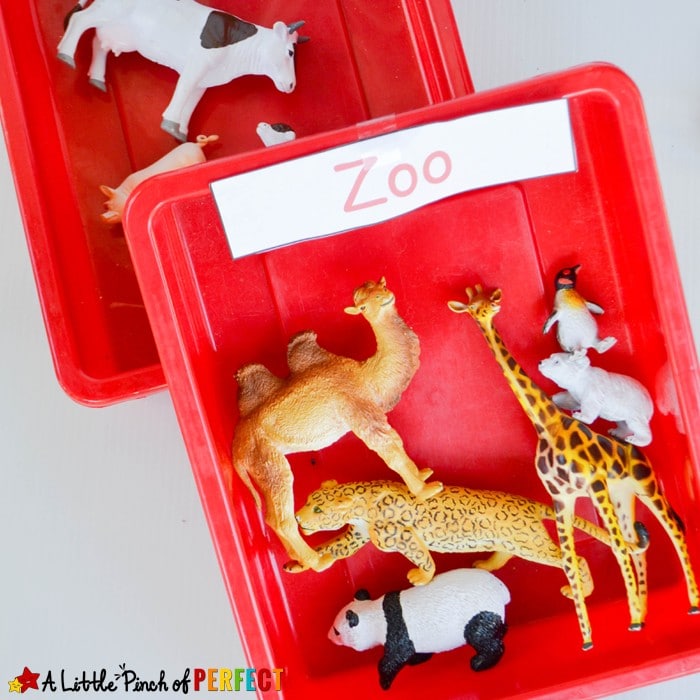 Who Lives in the Zoo Sorting Tray for Kids - A Little Pinch of Perfect