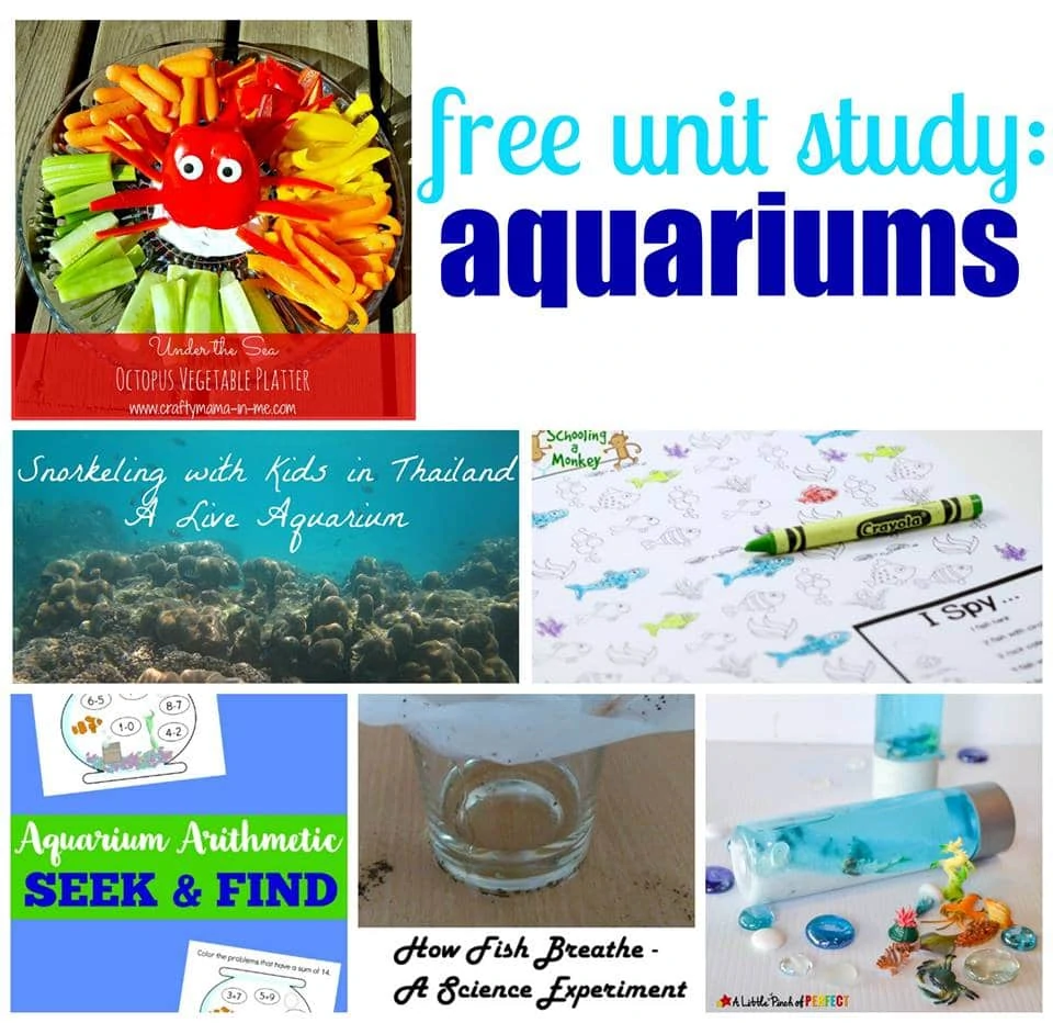 Ocean Aquarium Unit Study Activities