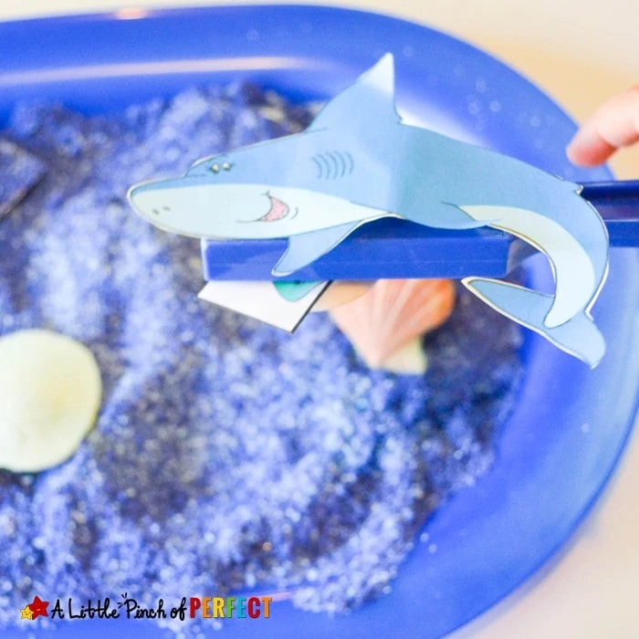 Learning about Shark Senses Activity and Free Printable