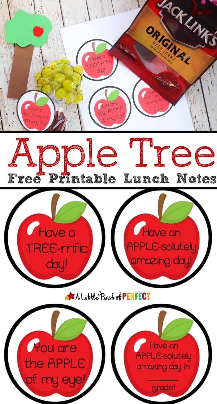  Apple Tree Lunchtime Craft and Free Printable Lunch Notes: Cute lunchbox idea for parents to send kids to school with a lunch that’s fast to pack and won’t spoil. Includes APPLE-solutely adorable apple themed printables. (Back to school, lunchbox, fall, apples) #sponsored #HangryHacks