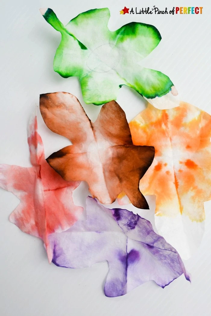 Autumn Leaves STEAM Absorption Art for Kids to Enjoy this Fall: Kids can watch coffee filters magically change colors as they learn about leaves (Preschool, Kindergarten, First grade, Botany, Kids Craft)