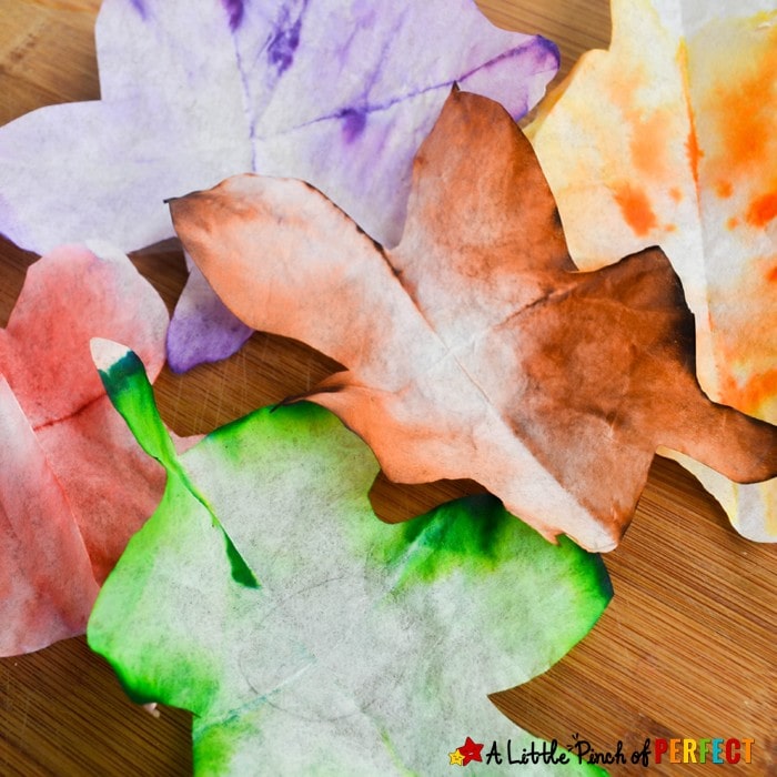 Autumn Leaves STEAM Absorption Art and Free Template