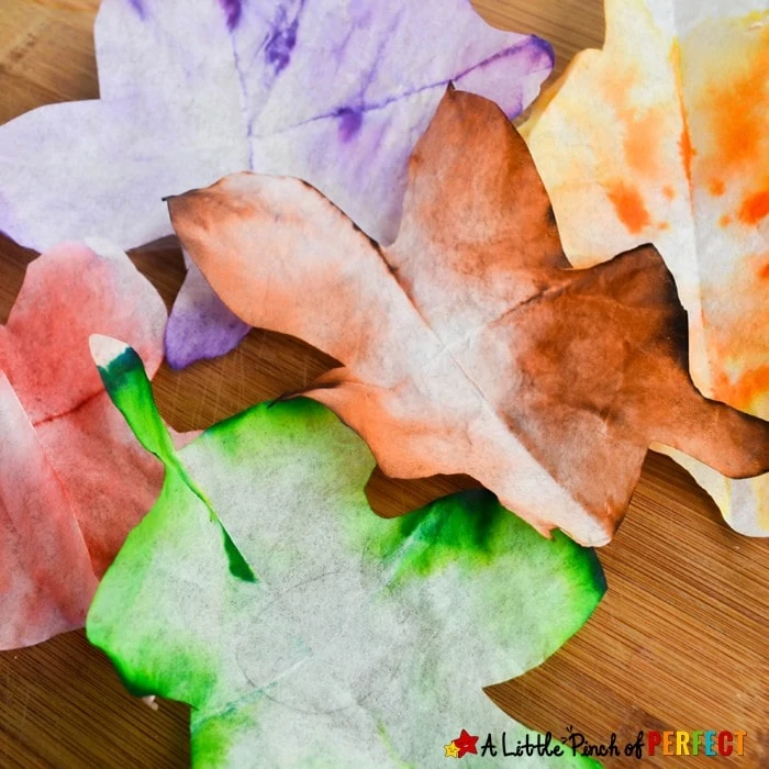 Autumn Leaves STEAM Absorption Art for Kids to Enjoy this Fall: Kids can watch coffee filters magically change colors as they learn about leaves (Preschool, Kindergarten, First grade, Botany, Kids Craft)