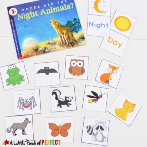 Learning about Nocturnal Animals Free Printable Activities for Kids: Includes 13 animal cards, a pretend game, memory matching, and a sorting activity (owl, bat, fall, science, preschool, kindergarten)