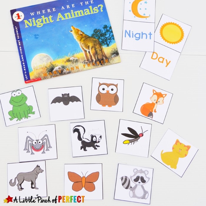 Learning about Nocturnal Animals Free Printable Activities for Kids: Includes 13 animal cards, a pretend game, memory matching, and a sorting activity (owl, bat, fall, science, preschool, kindergarten)