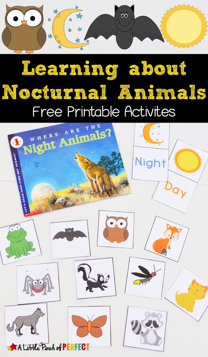 Learning about Nocturnal Animals Free Printable Activities  