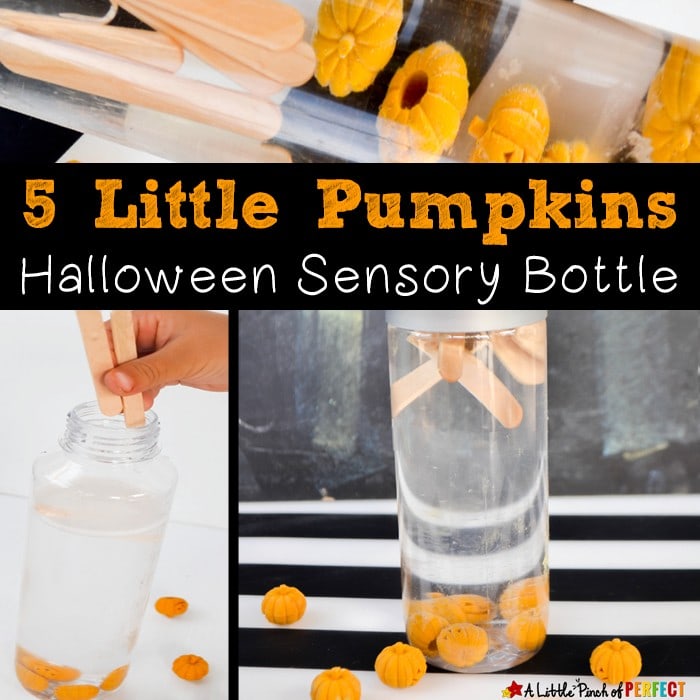 5 Little Pumpkins Float and Sink Halloween Sensory Bottle (preschool, kindergarten, October, fall, song/book)