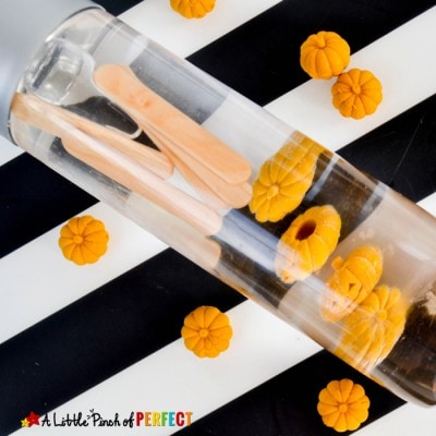 5 Little Pumpkins Float and Sink Halloween Sensory Bottle